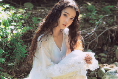 张盛舒十二生肖2016年11月运势：鼠、牛、虎1