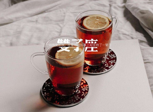 孪生双子，不靠谱不是我的错1