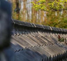 海棠花溪崇明三星