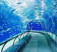 上海海洋水族馆中国展区