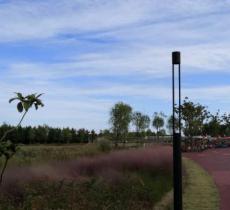 春花秋色滨水活力区