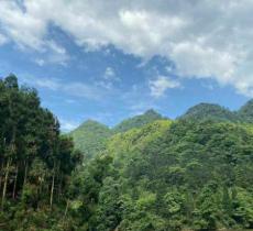 龙潭湖