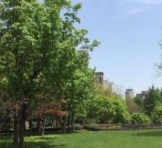 上海市虹口区广粵运动公园