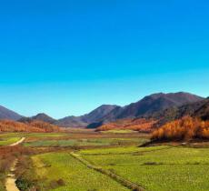 红池坝高山草场