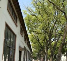 上海交通大学植物园