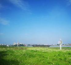 浦江第一湾公园