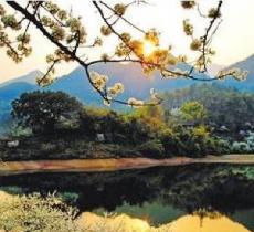湖岛生态旅游区