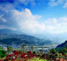 开州盛山植物园
