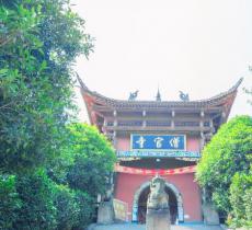 铁山坪森林公园