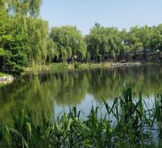 乌龙潭