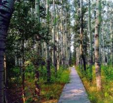 半壁店森林公园