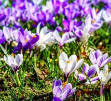 凉水河公园一区