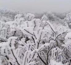 土城