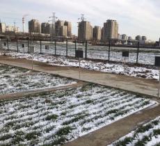 中国科技农业展示园