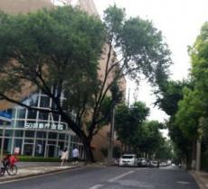 临港新业坊·虹口智立方