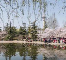 玉渊潭公园八一湖