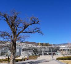 北京植物园-展览温室