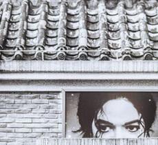 秦昊摄影展「常客」