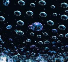 上海梦幻星空抖乐园