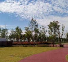 春花秋色城市公园