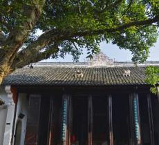 明良殿