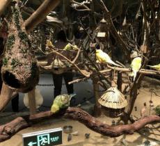 奥摩星球动物乐园