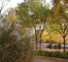 来广营地区滨河公园