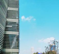 西岸艺岛“雪域之美”展