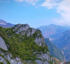 阴条岭自然保护区