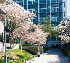 北京美发博物馆