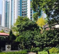 傅家玫瑰天主堂