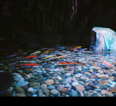 上海摸摸乐萌宠园室内动物园