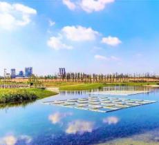 鹦鹉洲生态湿地