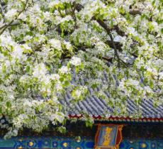 北京文博交流馆