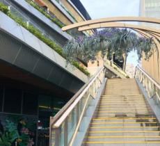 洋泾港休闲广场