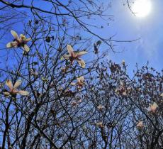 铭基国际创意公园