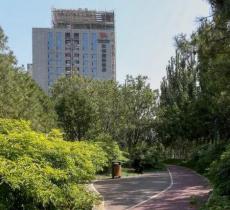 安德城市森林公园