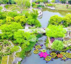 上房园艺·梦花园