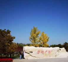 北京市劳动模范世纪林