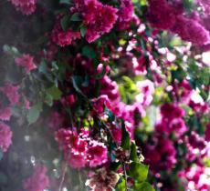 定慧公园怡趣园