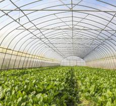 归原田居有机农庄