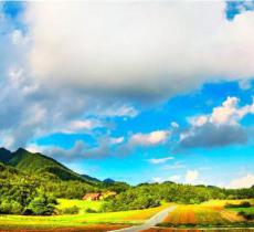 红池坝国家森林公园