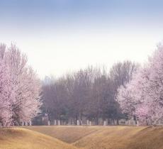 奥林匹克森林公园-北园