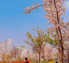 国际友好城市公园