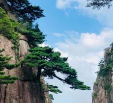 回音壁