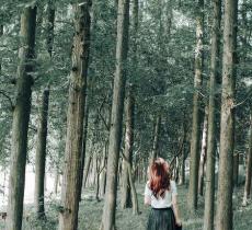 岗山桃太郎生态农场