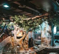 嘟噜嘟噜萌宠乐园(第一八佰伴店)