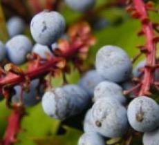 二十四节气公园