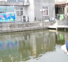 富岛垂钓休闲农庄