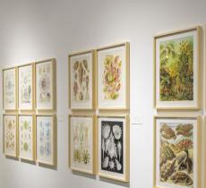 IOMA爱马思艺术中心